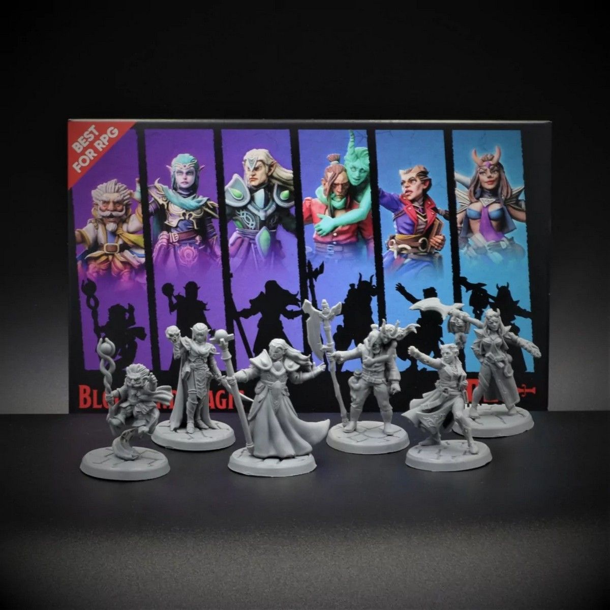 D20 Heroes: Blood and Magic Rpg Hero Set box view