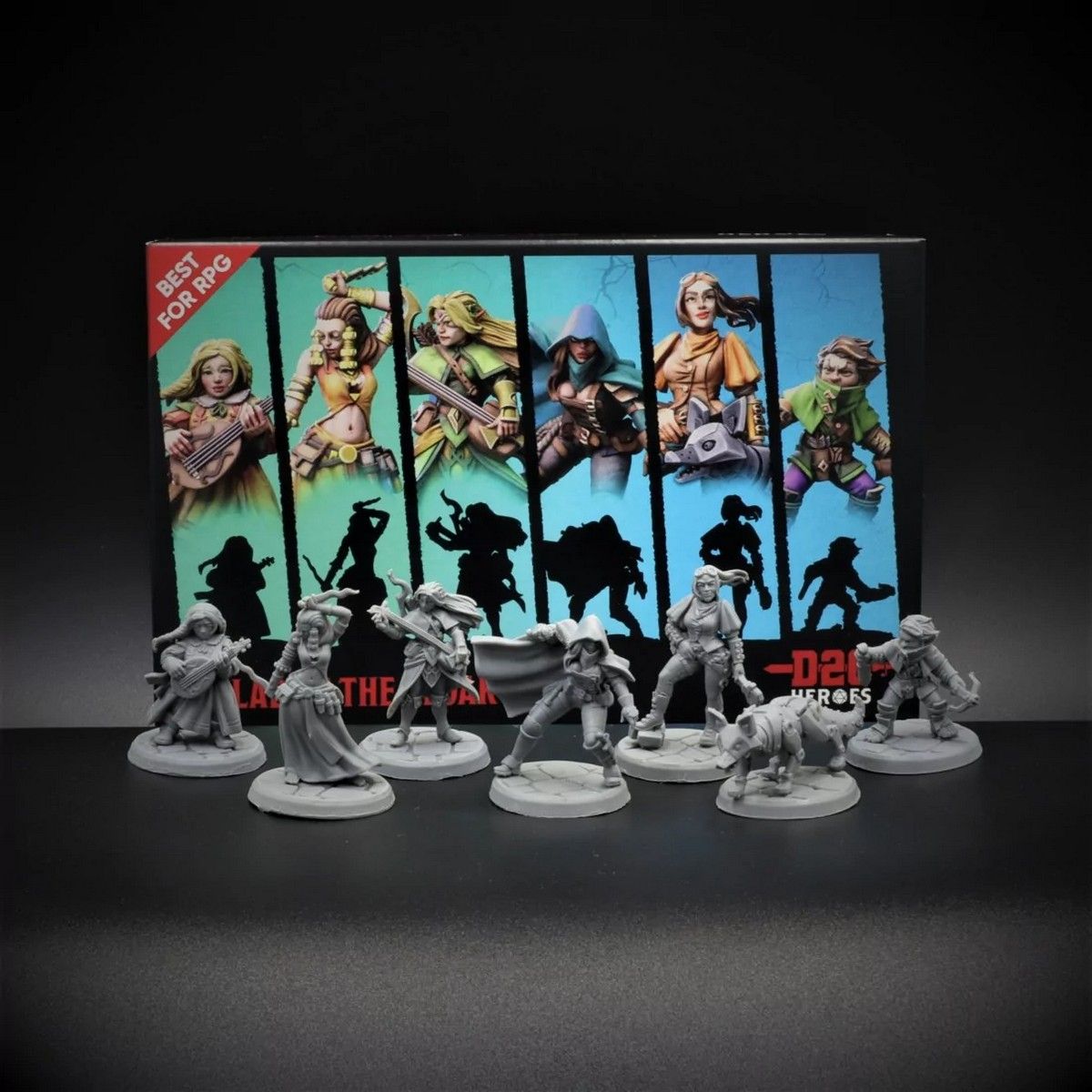 D20 Heroes: Ballad of the Cloak Rpg Hero Set box view